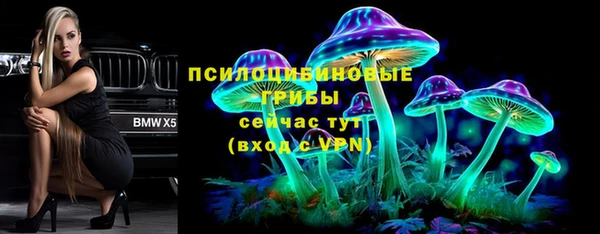 Альфа ПВП Вяземский