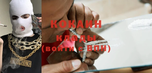 сатива Вязьма