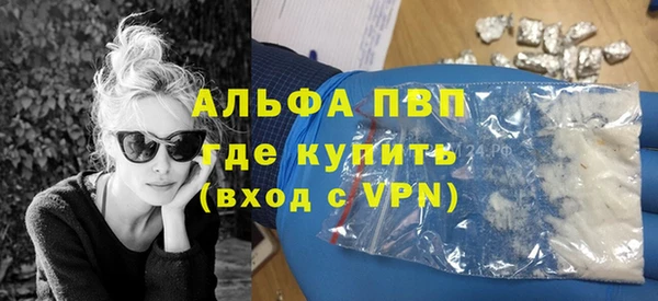 сатива Вязьма