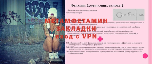 сатива Вязьма