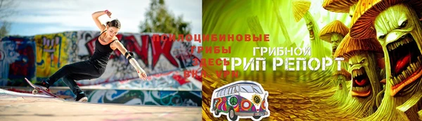 сатива Вязьма