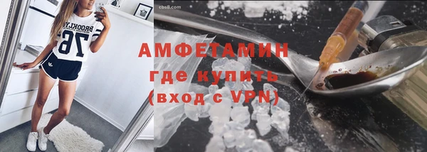 сатива Вязьма