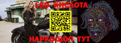 спайс Аргун