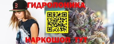 молекула духа Жуковский