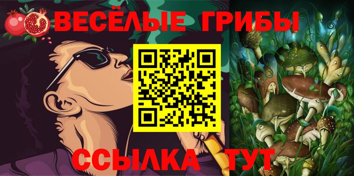 Псилоцибиновые грибы мицелий Михайловка
